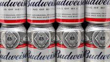 The company will produce five million low-carbon cans using renewables across the value chain